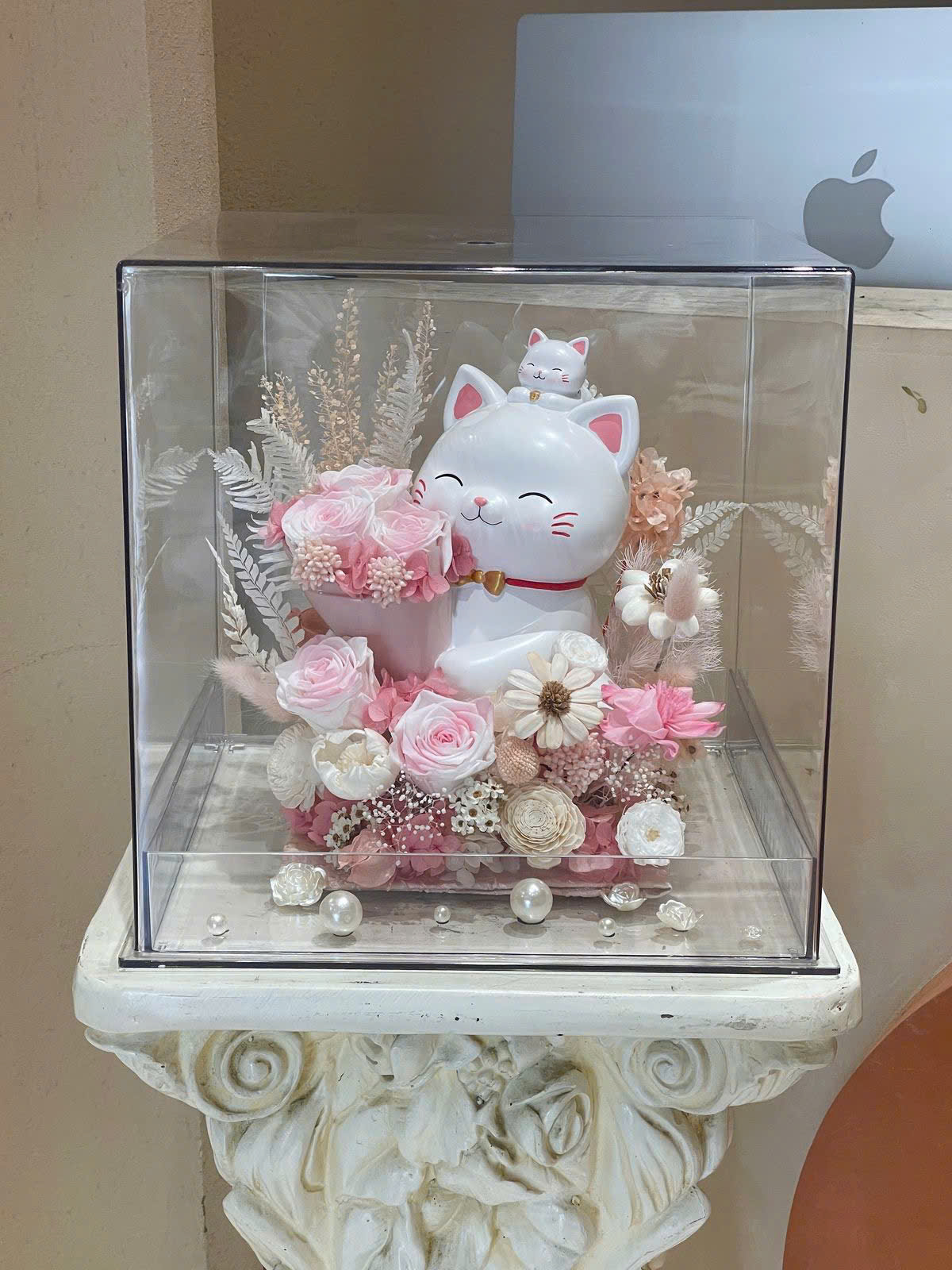 Box Chúc mừng Khai trương